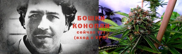 спайс Баксан