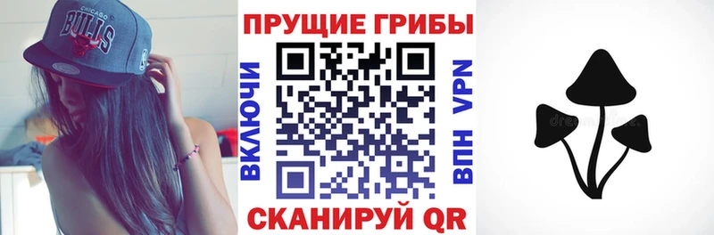 цена   Усть-Джегута  Псилоцибиновые грибы мицелий 